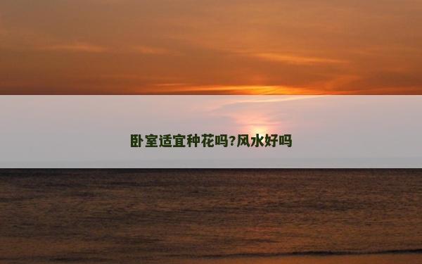 臥室適宜種花嗎?風水好嗎
