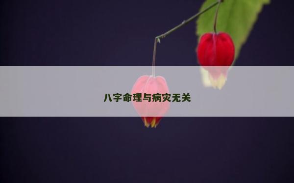 八字命理與病災無關