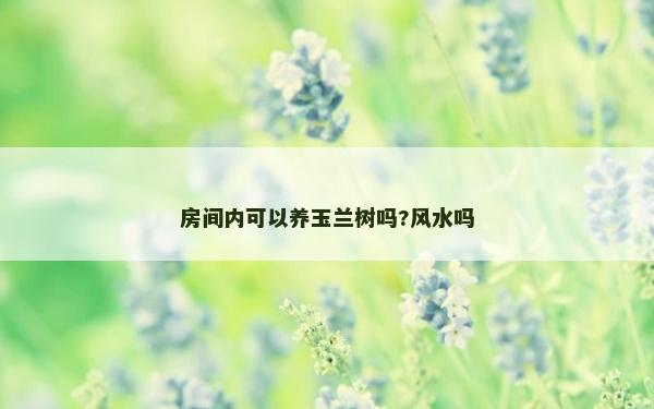 房間內可以養玉蘭樹嗎?風水嗎 房間內可以養玉蘭樹嗎?風水嗎