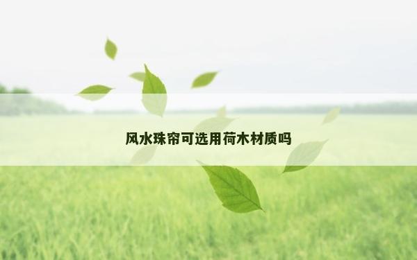 風水珠簾可選用荷木材質嗎