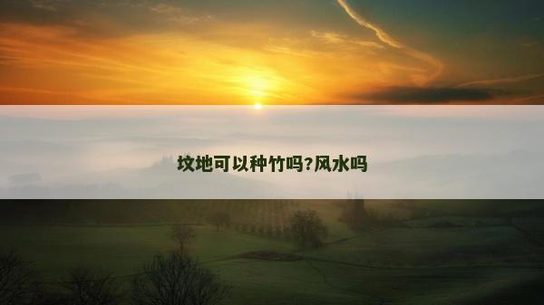 墳地可以種竹嗎?風(fēng)水嗎 墳地可以種竹嗎?風(fēng)水嗎