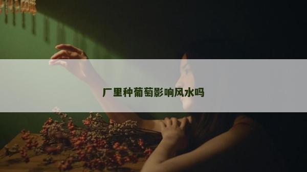 廠里種葡萄影響風水嗎