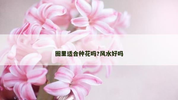 圈里適合種花嗎?風(fēng)水好嗎