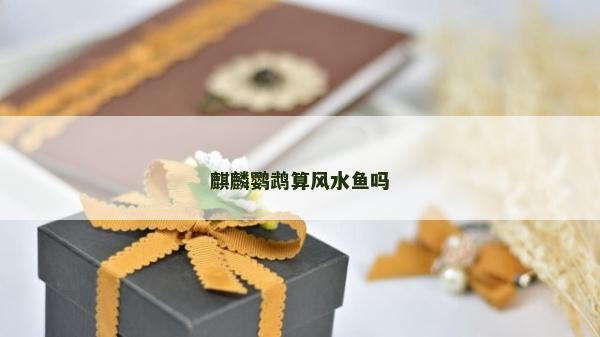 麒麟鸚鵡算風水魚嗎