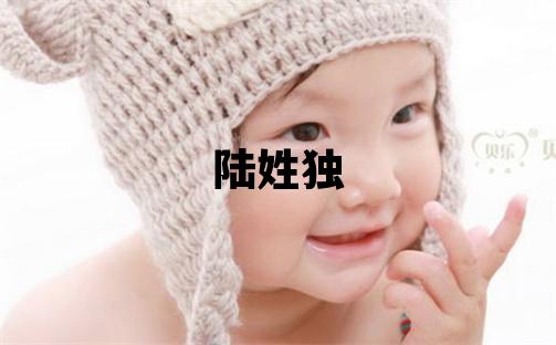 陸姓獨特優美的女寶寶名字