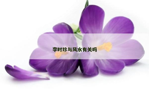 李時(shí)珍與風(fēng)水有關(guān)嗎