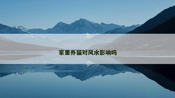 家里養(yǎng)貓對風水影響嗎