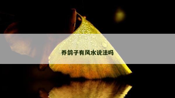 養鴿子有風水說法嗎