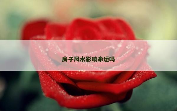 房子風水影響命運嗎 房子風水影響命運嗎
