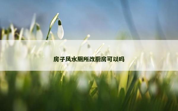 房子風水廁所改廚房可以嗎 房子風水廁所改廚房可以嗎
