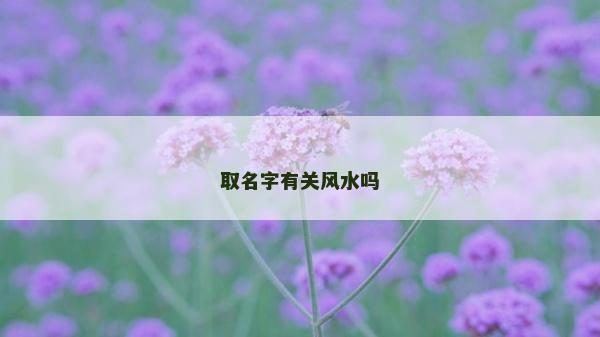 取名字有關風水嗎