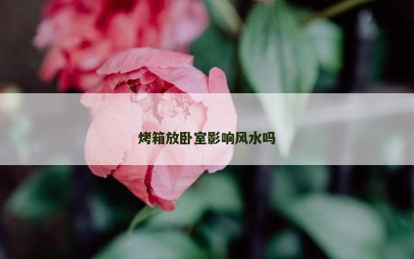 烤箱放臥室影響風水嗎