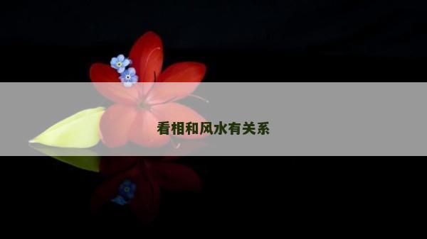 看相和風水有關系 看相和風水有關系