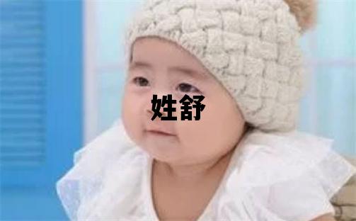 姓舒叫什么名字好 姓舒的男孩有智慧才氣的名字
