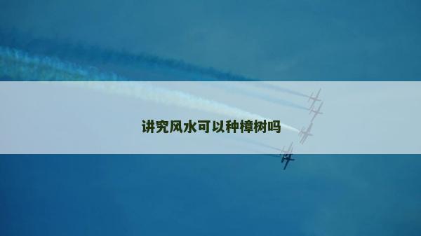 講究風(fēng)水可以種樟樹嗎