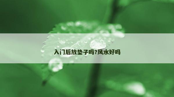 入門后放墊子嗎?風(fēng)水好嗎