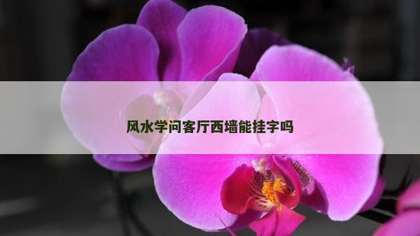 風水學問客廳西墻能掛字嗎