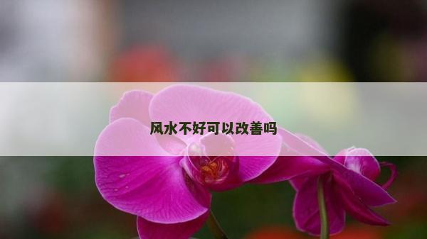 風水不好可以改善嗎
