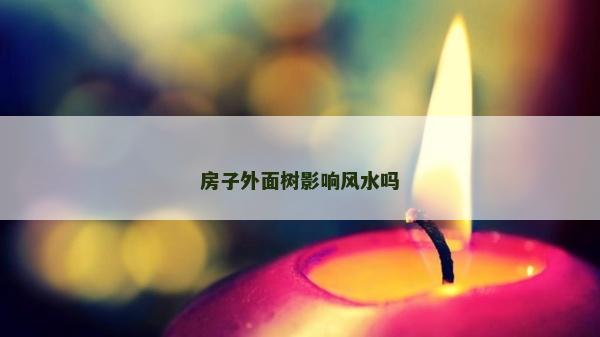 房子外面樹影響風水嗎