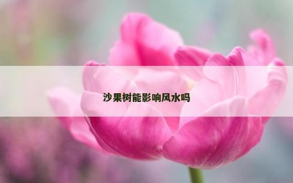 沙果樹能影響風水嗎