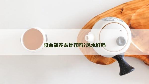 陽臺能養龍骨花嗎?風水好嗎 陽臺能養龍骨花嗎?風水好嗎