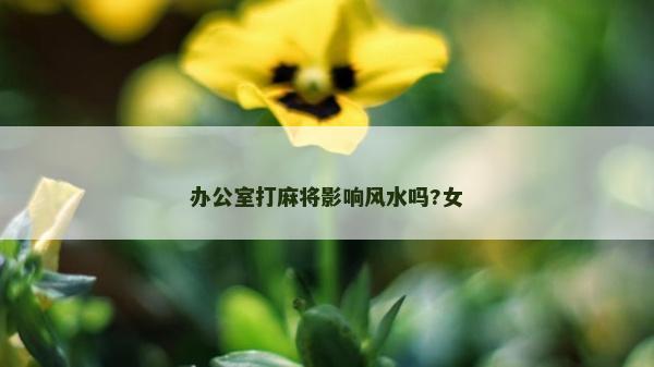 辦公室打麻將影響風水嗎?女