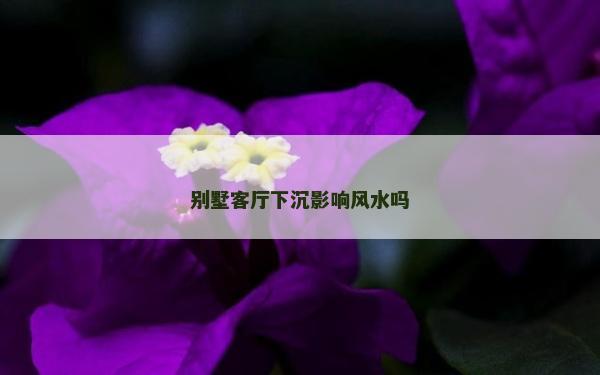 別墅客廳下沉影響風水嗎