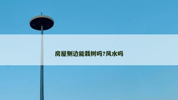 房屋側邊能栽樹嗎?風水嗎