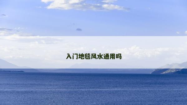 入門地毯風水通用嗎
