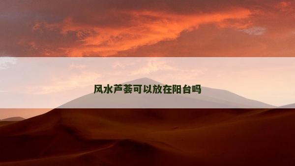 風水蘆薈可以放在陽臺嗎