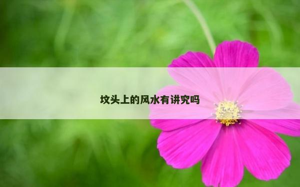 墳頭上的風水有講究嗎