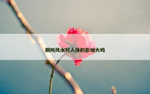 廁所風(fēng)水對人體的影響大嗎