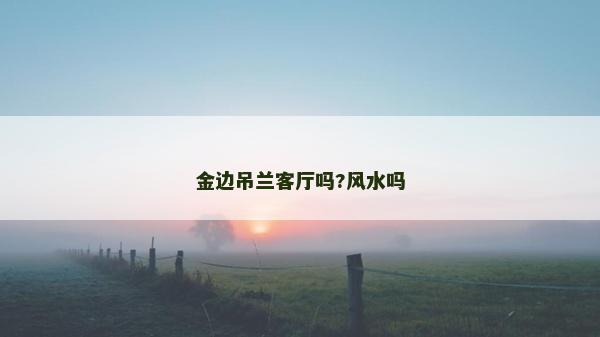 金邊吊蘭客廳嗎?風(fēng)水嗎