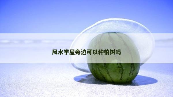 風水學屋旁邊可以種柏樹嗎 風水學屋旁邊可以種柏樹嗎