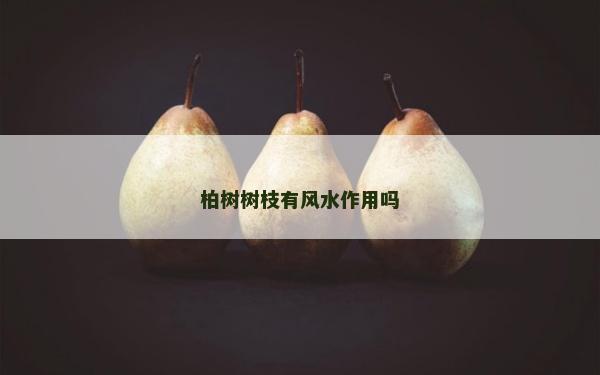 柏樹樹枝有風水作用嗎
