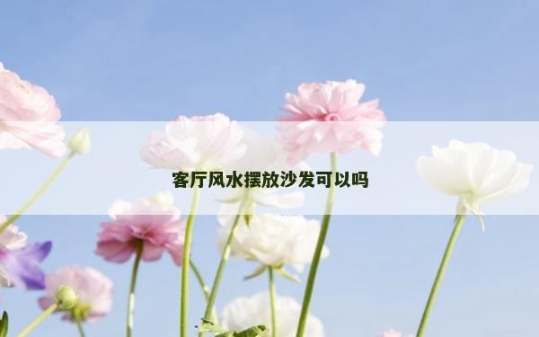 客廳風水擺放沙發可以嗎 客廳風水擺放沙發可以嗎