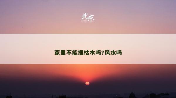家里不能擺枯木嗎?風(fēng)水嗎