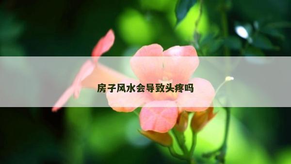 房子風水會導致頭疼嗎