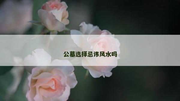 公墓選擇忌諱風水嗎