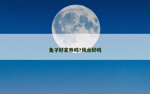 兔子好家養嗎?風水好嗎 兔子好家養嗎?風水好嗎