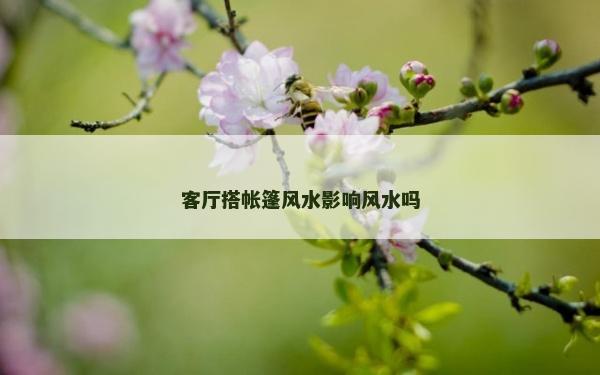 客廳搭帳篷風水影響風水嗎