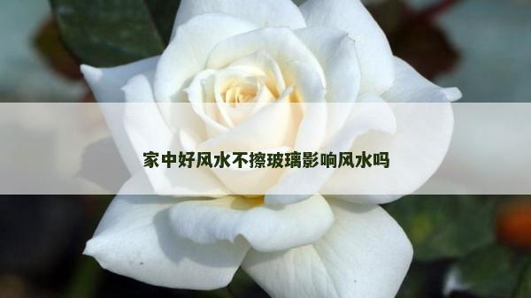 家中好風水不擦玻璃影響風水嗎 家中好風水不擦玻璃影響風水嗎