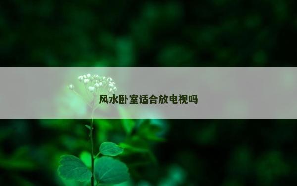 風水臥室適合放電視嗎 風水臥室適合放電視嗎