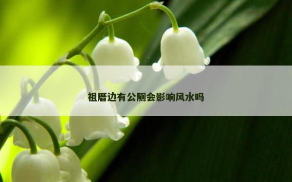 祖厝邊有公廁會影響風(fēng)水嗎