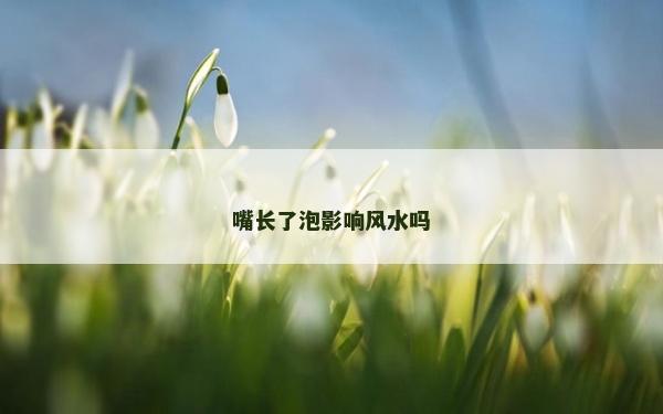 嘴長了泡影響風水嗎 嘴長了泡影響風水嗎