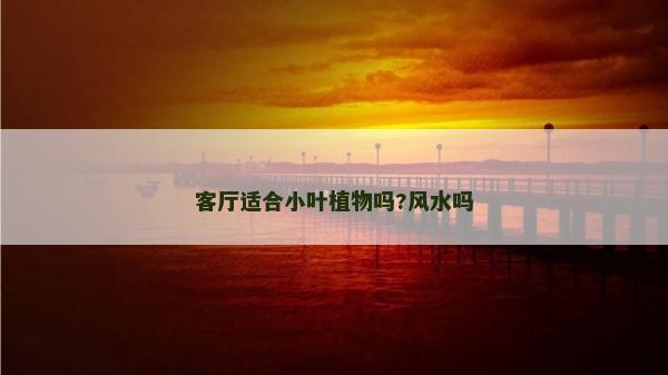 客廳適合小葉植物嗎?風(fēng)水嗎