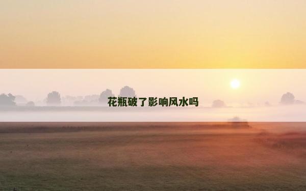 花瓶破了影響風(fēng)水嗎