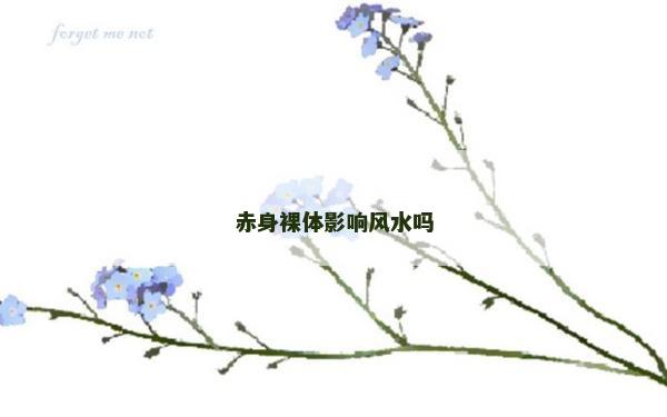 赤身裸體影響風水嗎 赤身裸體影響風水嗎