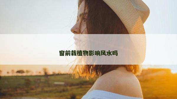 窗前栽植物影響風(fēng)水嗎 窗前栽植物影響風(fēng)水嗎