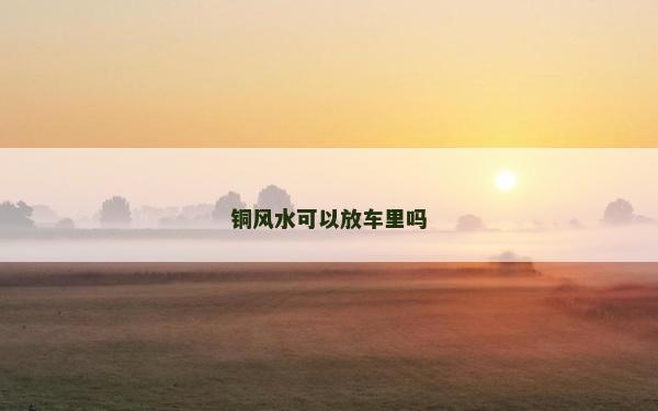 銅風水可以放車里嗎